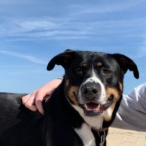 Meet your Posher, Claire